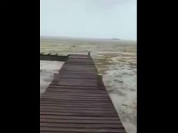 Usuarios de las redes sociales comparten videos desde las costas donde ya no hay agua. TWITTER / @Kaydi_K