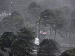 El ojo de 'Irma' se encuentra a 10 kilómetros al norte de Naples. AP / D. Goldman