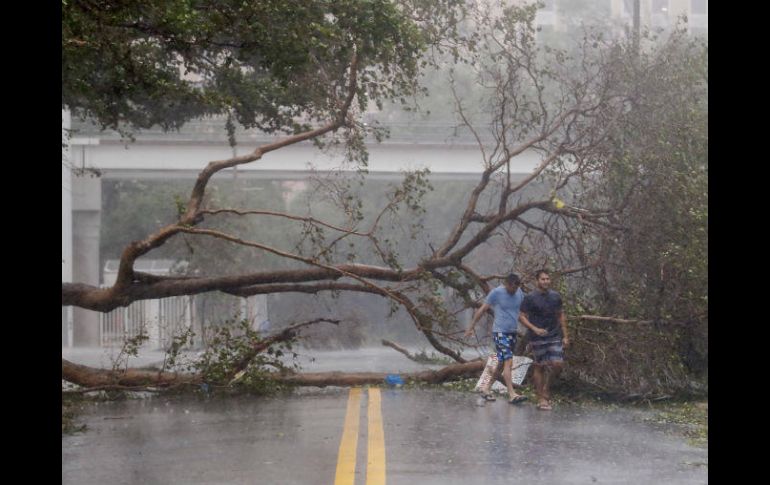 Hasta ahora la cifra oficial de muertes causadas por 'Irma' en Florida sigue en tres. EFE / E. Lesser