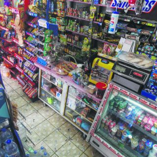 Pequeñas empresas de Jalisco lideran petición de ecocréditos