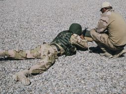 La comarca de Tel Afar fue recientemente arrebatada al EI en una rápida ofensiva de las tropas iraquíes. AP / A. Martins