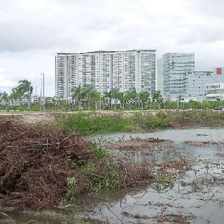 Profepa clausura proyecto en el Malecón Tajamar en Cancún