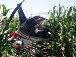 El hecho tuvo lugar en el rancho Las Ánimas donde quedó tirada la avioneta. ESPECIAL / Protección Civil Jalisco