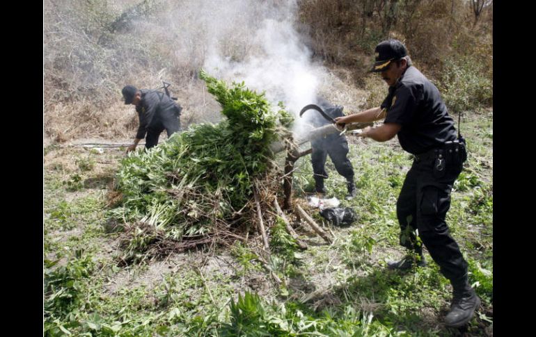 En estos lugares se recaban muestras representativas, que fueron puestas a disposición de los Ministerios Públicos. EL INFORMADOR / ARCHIVO