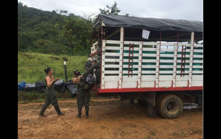 Todas las operaciones para la ubicación y desmantelamiento han sido planeadas y ejecutadas por integrantes de las FARC. NTX / ARCHIVO
