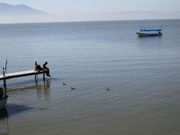 La reducción y recuperación de Chapala es un ciclo, y han llegado los años buenos. EL INFORMADOR / ARCHIVO