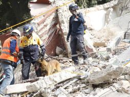 Continúan las labores de rescate en edificios derrumbados en la Ciudad de México. EFE / S. Gutiérrez