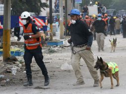 El presidente Peña Nieto estará haciendo recorridos por las zonas más afectadas. EFE / J. López