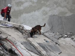 Los Topos han estado trabajando en la fábrica desde las 11:00 horas.