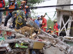 El presidente del Consejo de Administración del Siapa dice que las redes de agua potable resultaron muy afectadas tras el temblor.