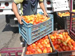 El año pasado, los productos del campo de Jalisco tuvieron un valor en las exportaciones de dos mil 358.5 millones de dólares.