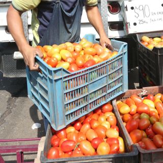 La tecnología detona la productividad en el campo