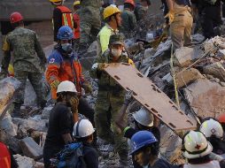 En 14 inmuebles colapsados ya concluyeron los trabajos, lo que incluye el dictamen estructural, se encuentran desalojados y acordonados.