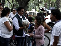 Muchas mascotas quedaron atrapadas o se extraviaron después del sismo del 19 de septiembre.