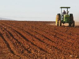 Por grandes grupos de actividades, las agropecuarias presentaron un descenso de 1.6 por ciento.
