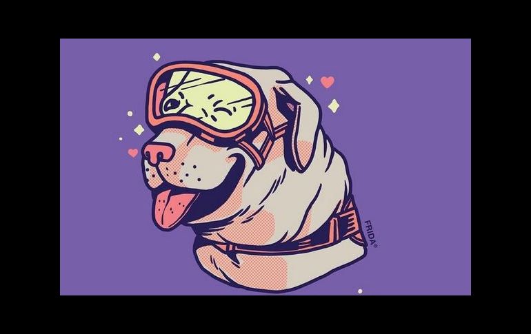 'Frida' ha salvado junto con sus compañeros caninos a cientos de vidas en derrumbes y catástrofes naturales.