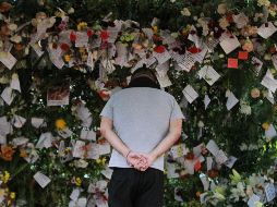 Un hombre observa varios arreglos florales dejados en un improvisado altar en memoria de las víctimas del terremoto.