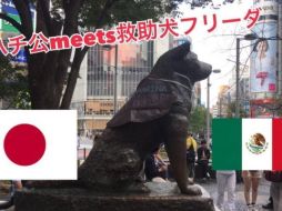 En Japón recuerdan a Hachiko al cumplirse 93 años de su nacimiento con una prenda que homenajea a Frida. ESPECIAL