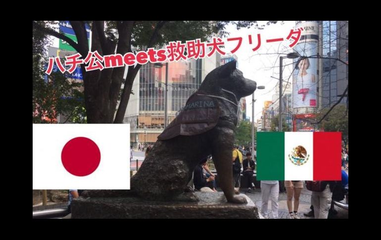 En Japón recuerdan a Hachiko al cumplirse 93 años de su nacimiento con una prenda que homenajea a Frida. ESPECIAL