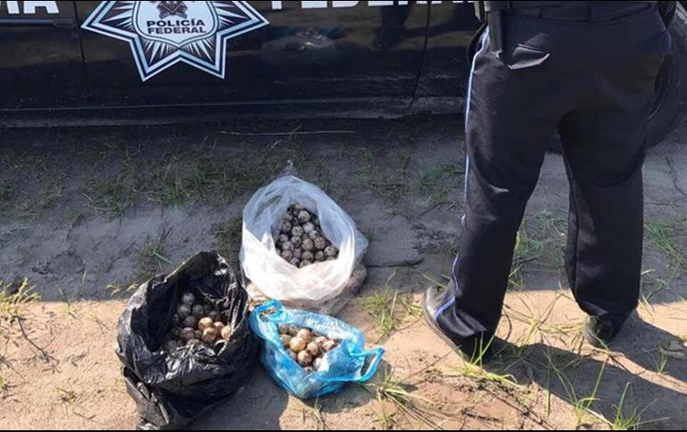 El decomiso fue hecho por agentes de la Profepa y la División de Seguridad Regional de la Policía Federal. NTX