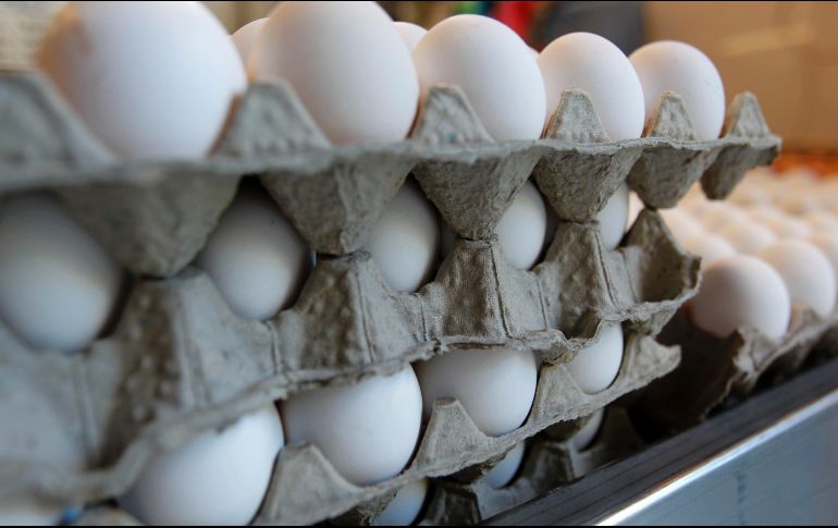 Las gallinas ponen menos huevos en invierno, señaló la Profeco. EL INFORMADOR/ARCHIVO