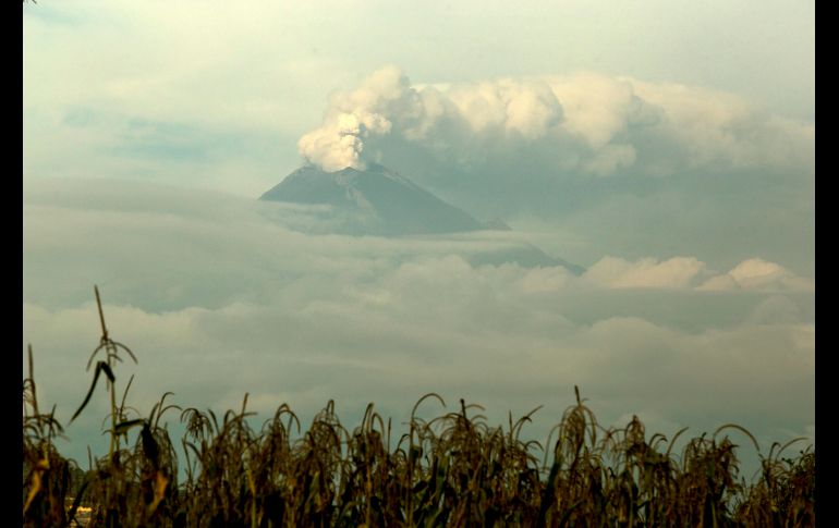 El volcán Popocatépetl emite una columna de vapor en una vista desde San Andrés Calpan, Puebla. En 24 horas se registraron dos sismos volcanotectónicos, ambos con magnitud de 1.8. EFE/F. Guasco