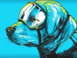 La videograbación es acompañada por fotografías y caricaturas del canino. YOUTUBE / KANKEL