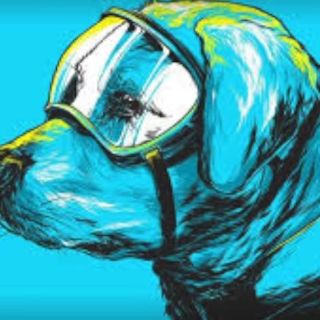 Dedican rola a Frida, la perrita rescatista