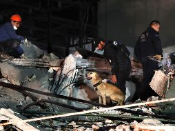 El pasado 19 de septiembre, a 32 años del terremoto de 1985, un movimiento telúrico de 7.1 azotó la Ciudad de México. SUN / ARCHIVO