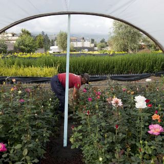 Convierte EU sus amenazas en propuestas
