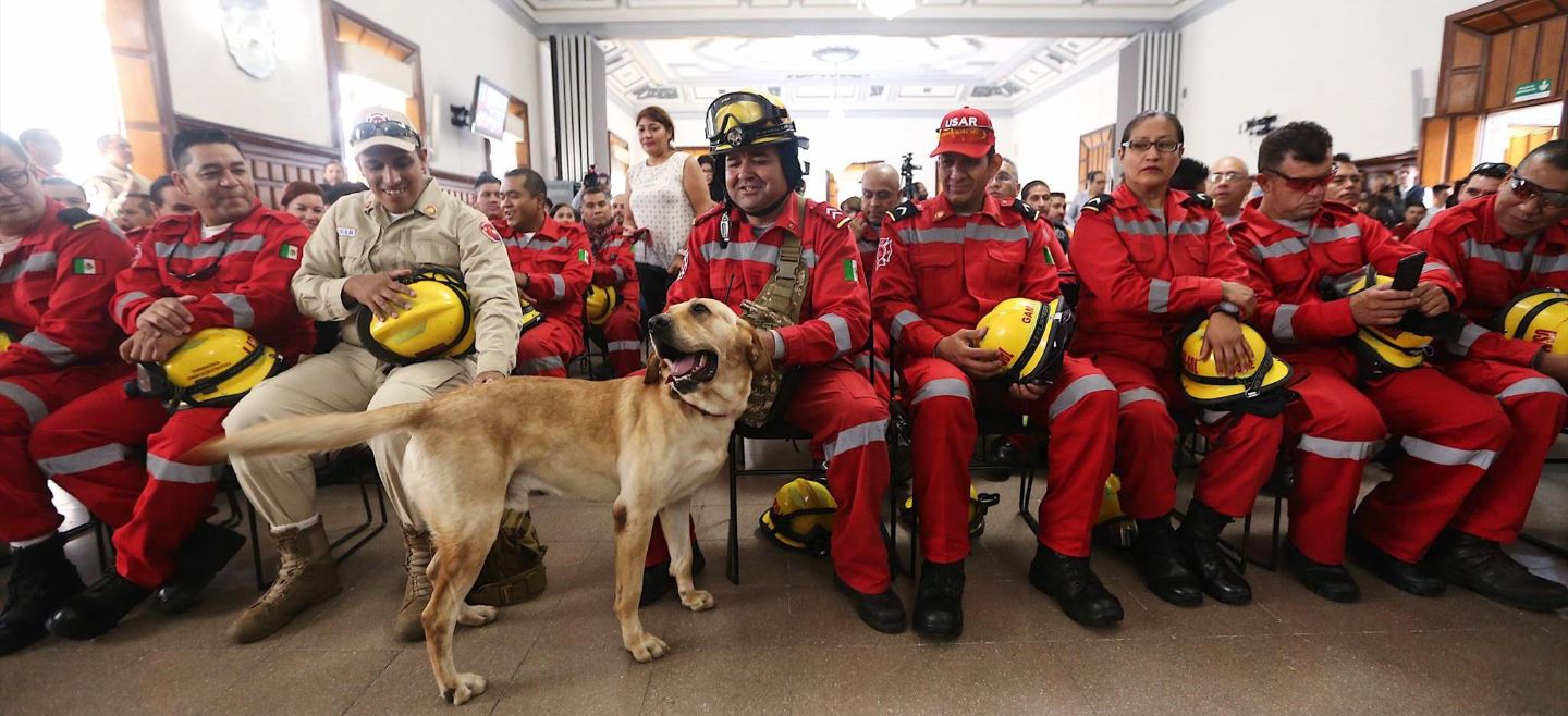 Por su desempeño a favor de las víctimas de los terremotos, Guadalajara reconoció la labor de 88 elementos de diversas corporaciones. FACEBOOK/EnriqueAlfaroR