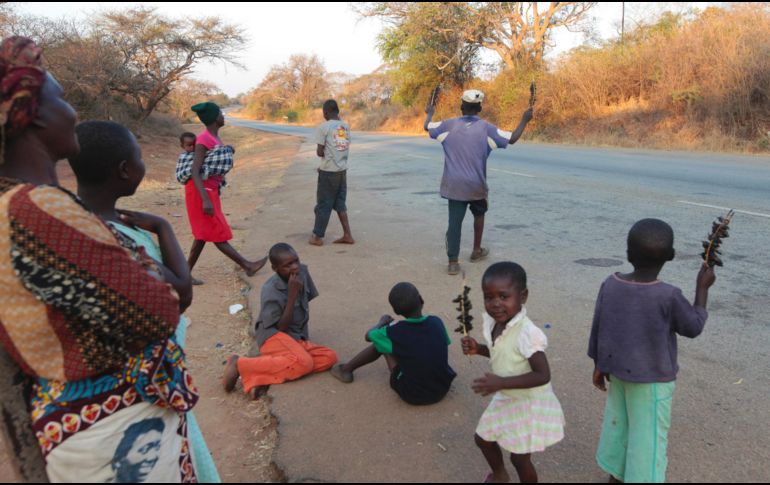 En una buena noche, los menores cuentan que pueden conseguir entre 50 y 100 ratones. AP /T. Mukwazhi