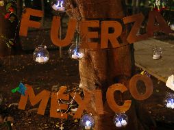 El Sismológico Nacional puntualiza que hasta la fecha no se cuenta con técnicas científicas en ninguna parte del mundo que prevengan cuándo ocurrirá un sismo. AP / R. Blackwell