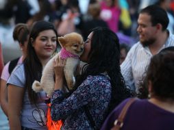Recomiendan mantener precauciones ante el riesgo de inundación en zonas del estado. EL INFORMADOR/ARCHIVO