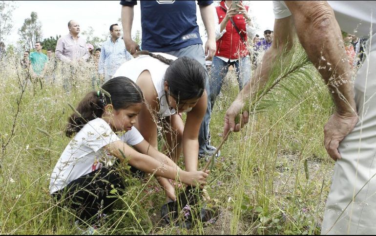 En este evento se plantaron 500 árboles de diferentes especies, en 1.45 hectáreas de terreno. EL INFORMADOR/ A. CAMACHO