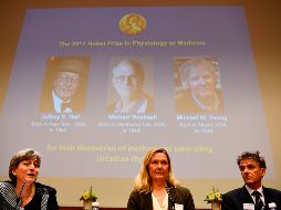 Los galardonados explicaron cómo plantas, animales y humanos han adaptado su ritmo biológico para sincronizarlo con las rotaciones de la Tierra. AFP/J. Nackstrand