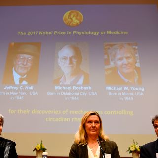 Premian con el Nobel de Medicina a tres estadounidenses