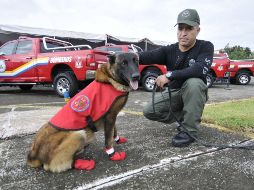 Los cuatro binomios caninos ayudaron en el rescate de 12 personas y la recuperación de 15 cadáveres. TWITTER / @AristotelesSD