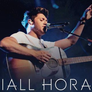 Niall Horan reprograma concierto en Ciudad de México