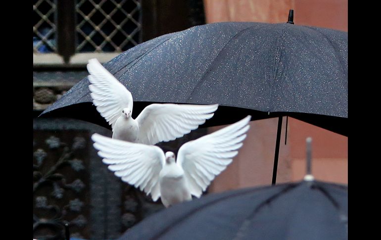 Dos palomas vuelan entre paraguas frente al edificio de la autoridad local de Fráncfort, Alemania. AP/M. Probst