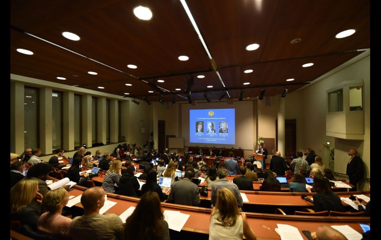 Fotos de los estadounidenses Jeffrey C. Hall, Michael Rosbash y Michael W. Young, ganadores del Premio Nobel de Medicina 2017, se muestran en el anuncio del reconocimiento en Estocolmo, Suecia. AFP/J. Nackstrand