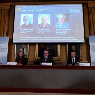 Tres investigadores de biomoléculas ganan el Nobel de Química