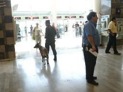 Los elementos federales localizaron la droga cuando realizaban un operativo. EL INFORMADOR/ ARCHIVO