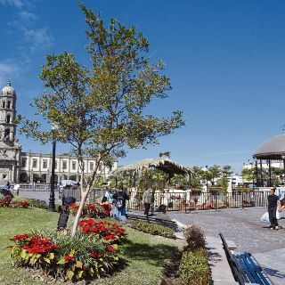 Centros históricos de la Metrópoli, lugares vivos