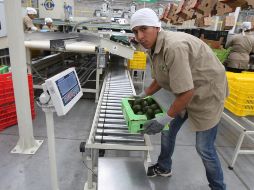 De acuerdo con las estructuras arancelarias de la OMC, las exportaciones estadounidenses serían las más afectadas. EL INFORMADOR/Archivo.