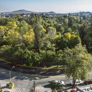 Chapalita, un hito urbano