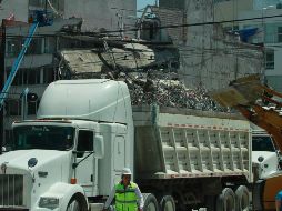 Se han ejecutado tareas de poda, rastrillo y deshierbe, así como recolección y traslado de desechos orgánicos e inorgánicos.  NTX / G. Durán