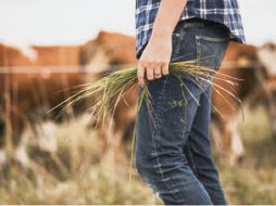 El amor no necesita condimentos, necesita de acciones y de viñadores responsables que entreguen los frutos a tiempo.