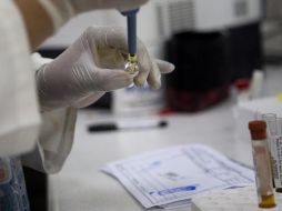 El producto será probado en mamíferos o ratones para después liberarlo hacia los humanos. AP/ ARCHIVO