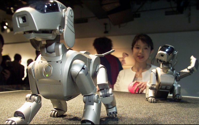 El androide tendrá aspecto de mascota, inteligencia artificial y conectividad a internet. EFE/Archivo